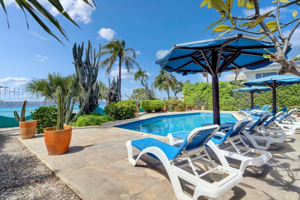 Bonaire Oceanfront Apartments Kralendijk Exteriör bild